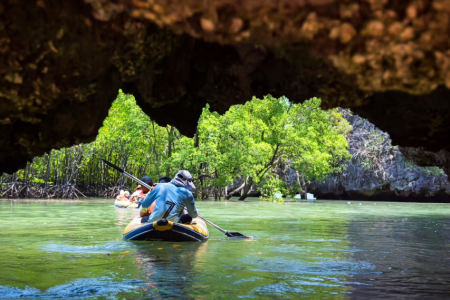 KOH PHEE + TALABENG BUBU ISLAND + MANGROVE by longtail boat & Kayaking (ONE DAY TOUR)