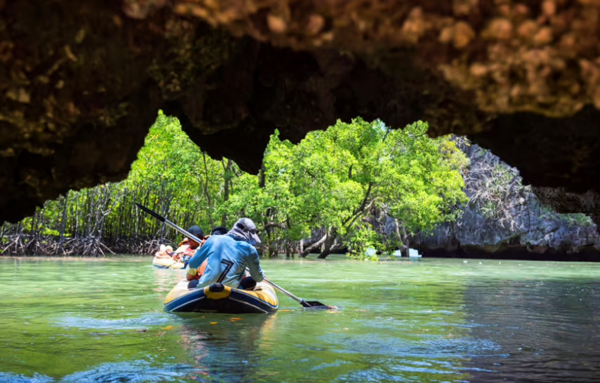 3 ISLANDS & MANGROVE by longtail boat & Kayaking(HALF DAY TOUR)