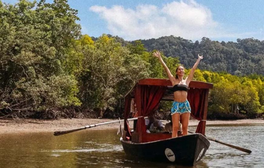 MANGROVE TOUR by longtail boat or Kayaking (HALF DAY TOUR)