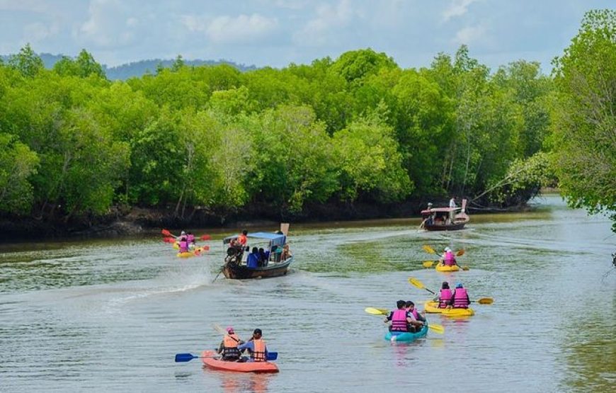 MANGROVE TOUR by longtail boat or Kayaking (HALF DAY TOUR)