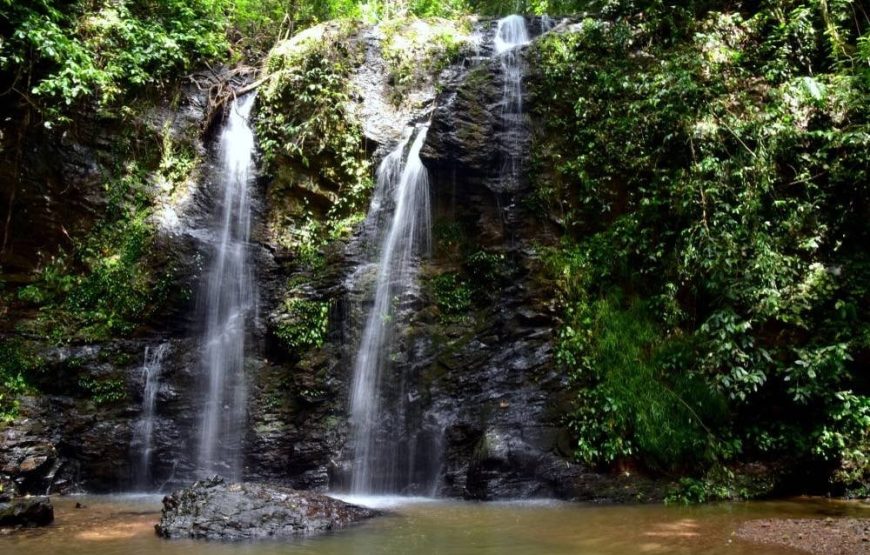 PROGRAM 5: MANGROVE + KLONGJAK WATER FALL or LANTA NATIONAL PARK (HALF DAY )