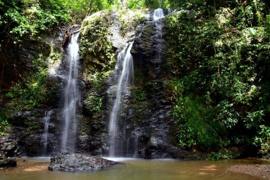 PROGRAM 5: MANGROVE + KLONGJAK WATER FALL or LANTA NATIONAL PARK (HALF DAY )