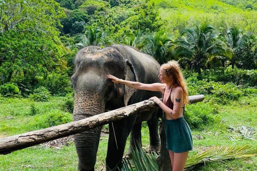 ENJOY WITH ELEPHANTS NO RIDING (PROGRAM B)